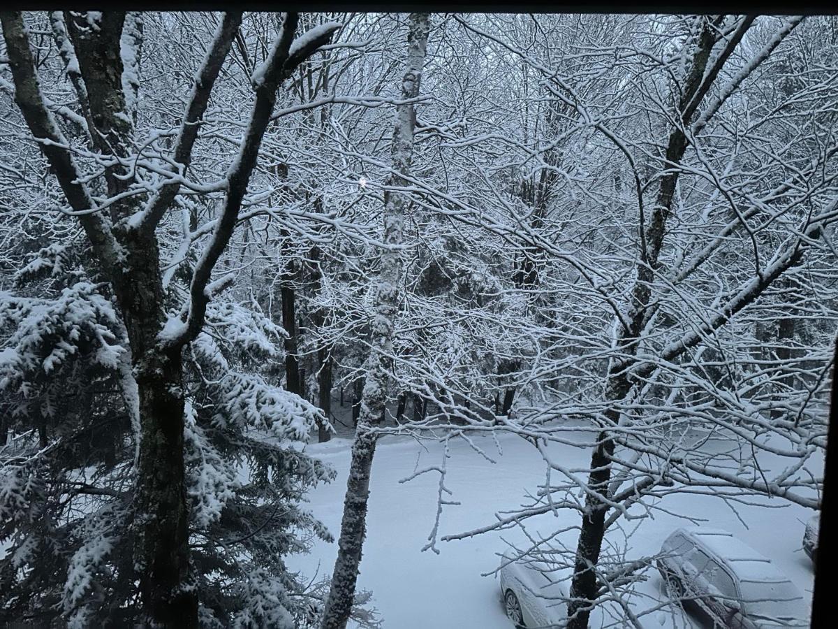 Vermont Getaway! Newly Renovated! Stratton Valley Extérieur photo